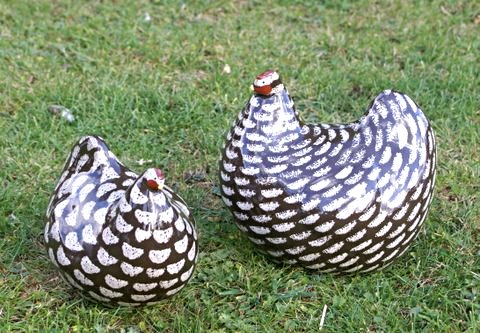 Hens