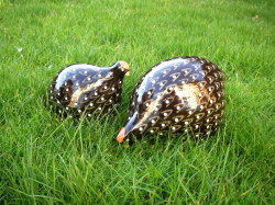 Ceramic quail in black