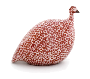 Burgundy Guinea Fowl